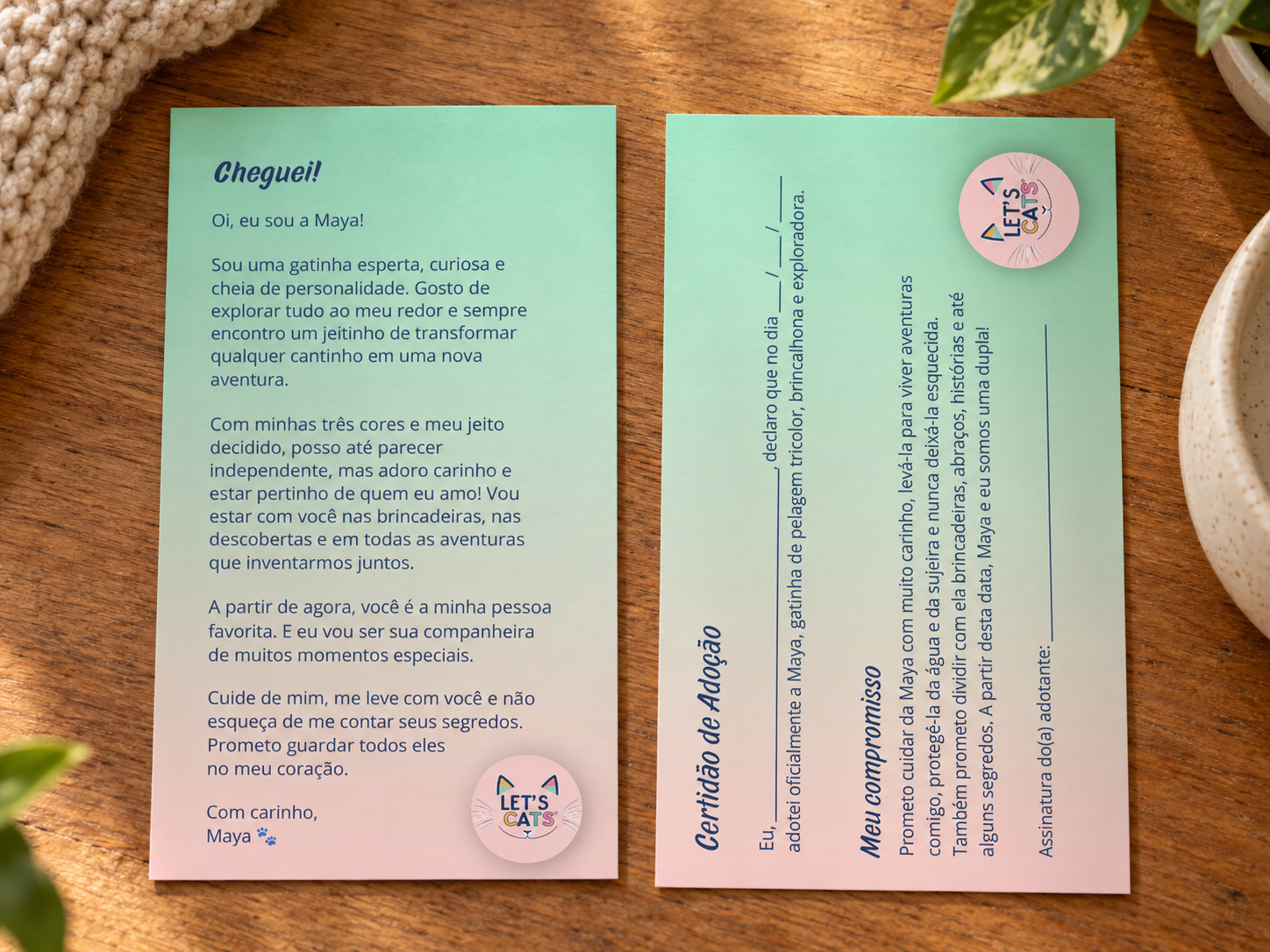 Carta de apresentação de Maya e Certidão de Adoção Let’s Cats, em tons pastel